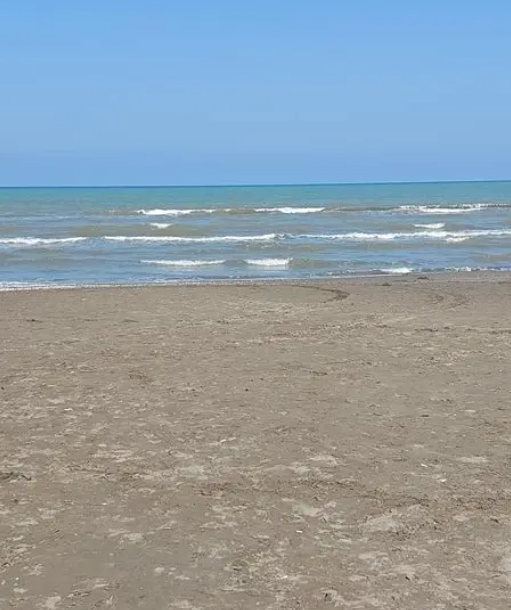 سواحل نور